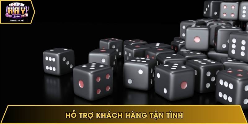 Hỗ trợ khách hàng tận tình