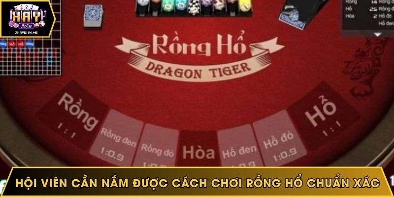 Hội viên cần nắm được cách chơi Rồng Hổ chuẩn xác