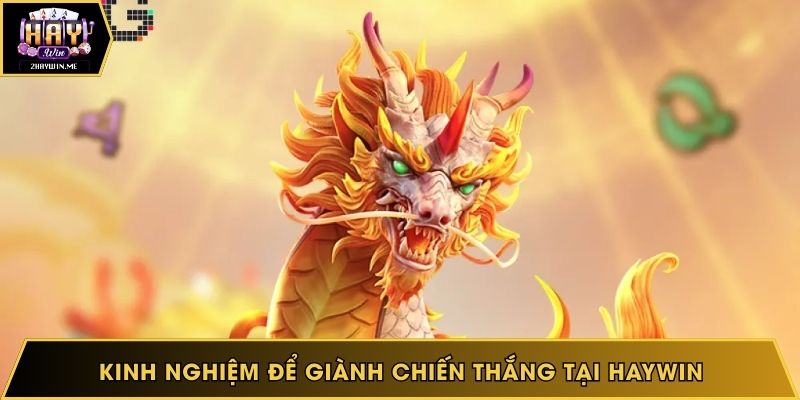 Kinh nghiệm để giành chiến thắng tại Haywin
