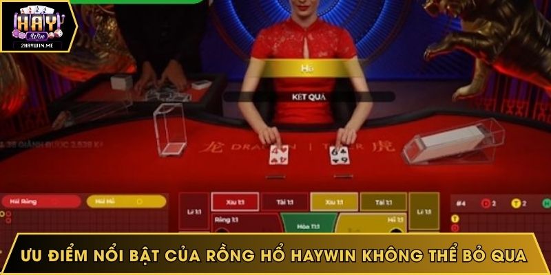 Ưu điểm nổi bật của Rồng Hổ Haywin không thể bỏ qua